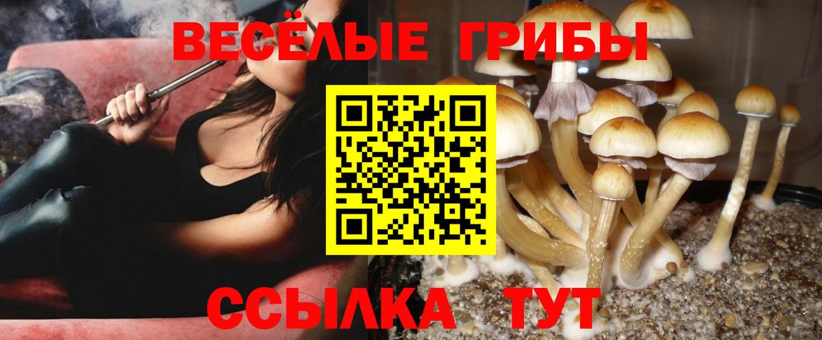 что такое наркотик  Галлюциногенные грибы мицелий  Вход с VPN  Вышний Волочёк 