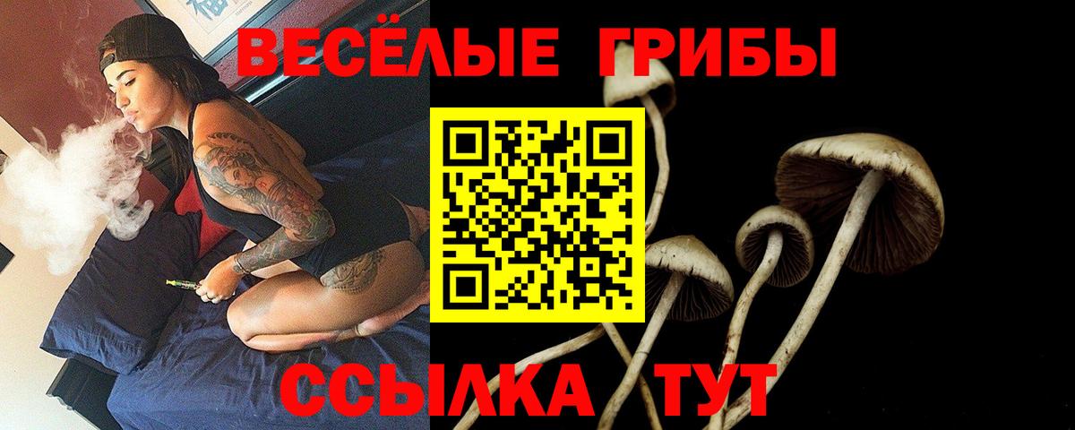Галлюциногенные грибы Magic Shrooms Вышний Волочёк